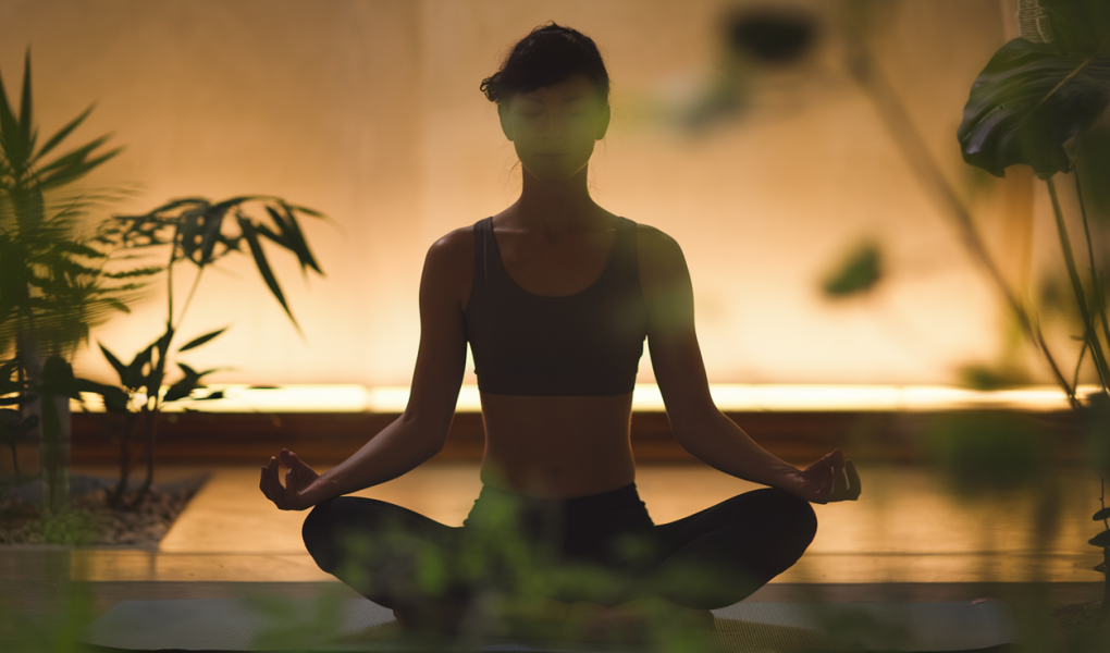 silhouette-meditation-interieur-chaleureux-plantes