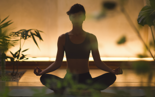 silhouette-meditation-interieur-chaleureux-plantes