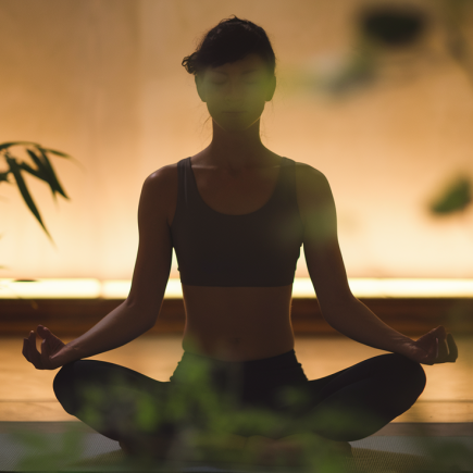 silhouette-meditation-interieur-chaleureux-plantes