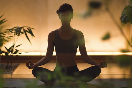 silhouette-meditation-interieur-chaleureux-plantes