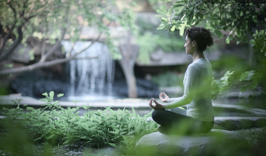 silhouette-meditation-jardin-cascade-verdure