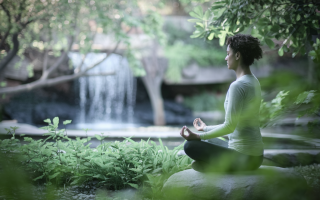 silhouette-meditation-jardin-cascade-verdure