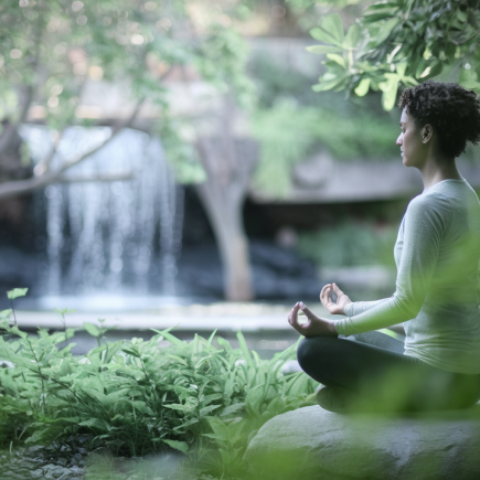 silhouette-meditation-jardin-cascade-verdure