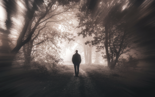 silhouette-pers-foret-arbres-lumiere