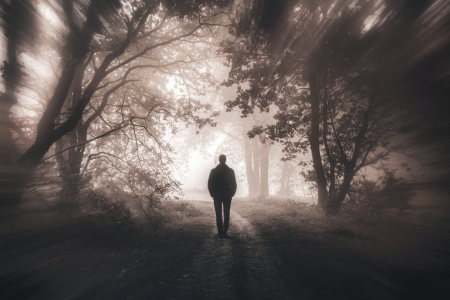 silhouette-pers-foret-arbres-lumiere