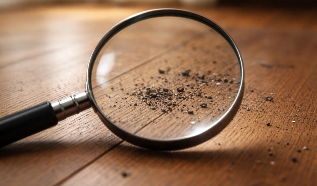 gros-plan-sol-bois-particules