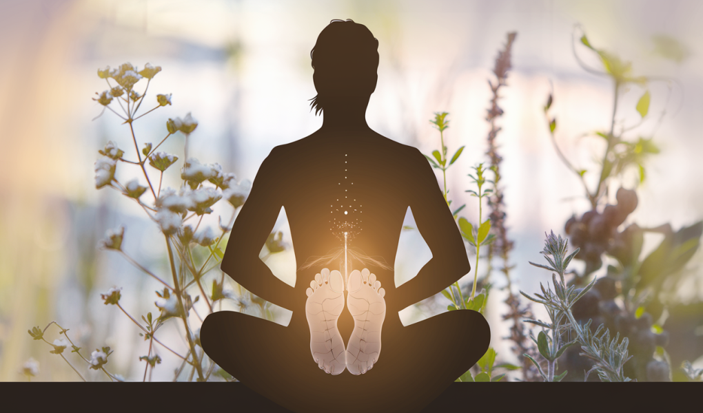 silhouette-personne-talon-abdomen-herbes