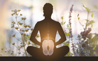 silhouette-personne-talon-abdomen-herbes